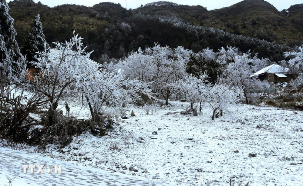 Thời tiết hôm nay (8-1): Rét đậm, rét hại trên diện rộng